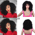 Synthetic Afro Curly Wig African Wigs For Black Women - Hairliegant
