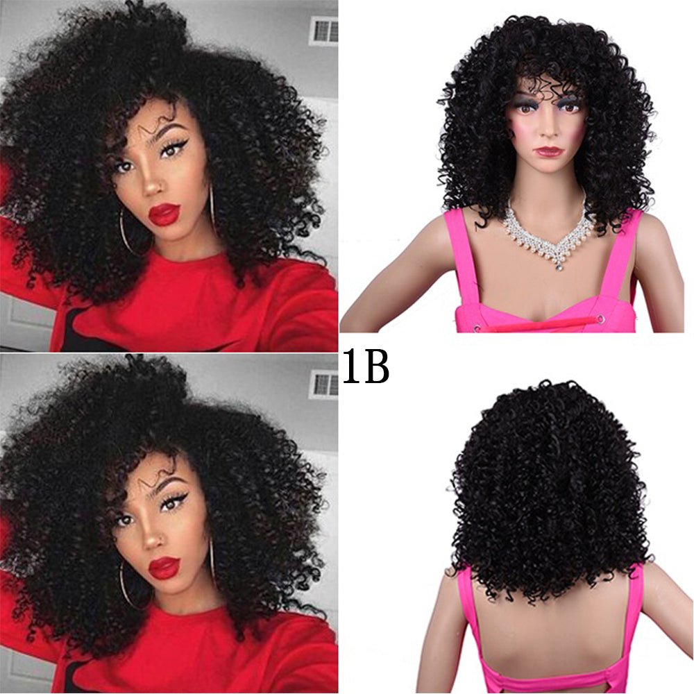 Synthetic Afro Curly Wig African Wigs For Black Women - Hairliegant