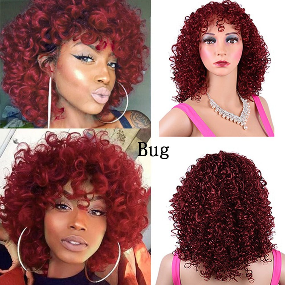 Synthetic Afro Curly Wig African Wigs For Black Women - Hairliegant